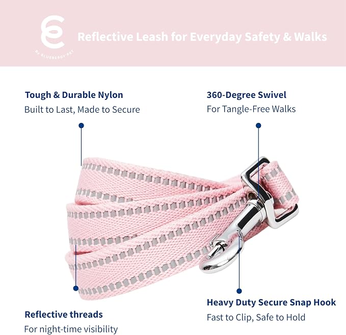 Blueberry Pet Essentials Matching Dog Collar & Leash Set | Pastel Reflective Adjustable Collar with 4 ft Lead for Large Dogs, Baby Pink