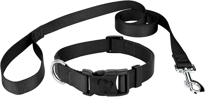 Country Brook Petz - Everyday Nylon Dog Collar and Leash - 10+ Cool Colors (1 Inch, Large, Black)