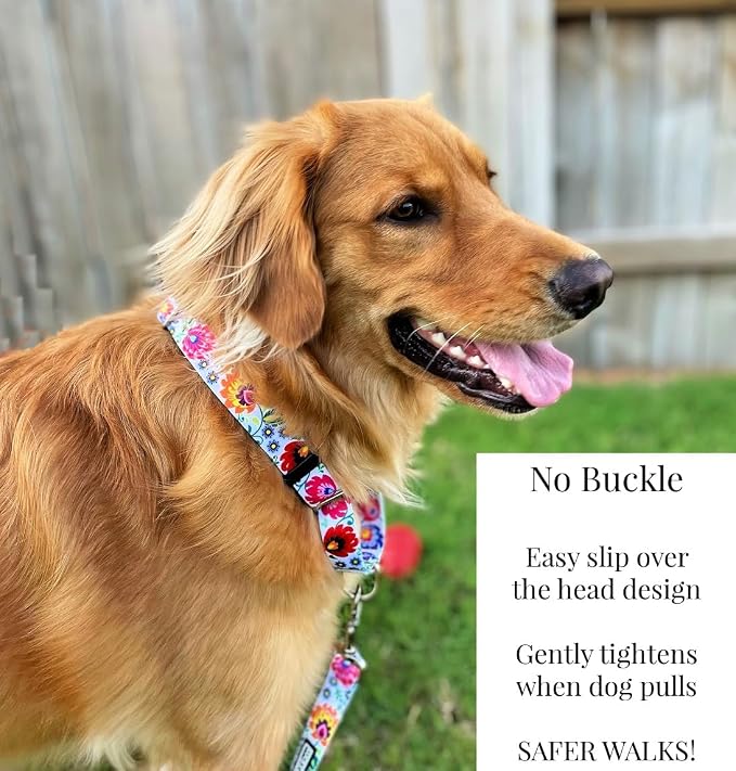 Lucky Love Dog Martingale Dog Collar & Leash - Adjustable, No-Slip, Durable, Comfortable, Soft Webbing, & Stylish Patterned Collar & Leash Set for Male and Female Dogs - Ladybird Combo, Large