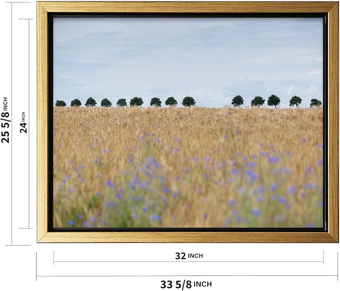Monem Art Golden Meadow Horizon Landscape Print - Minimalist Nature Photography Poster - Wall Decor for Living Room, Bedroom or Office - 24x32 Gold Framed CANVAS Wall Art by Mareike Bohmer