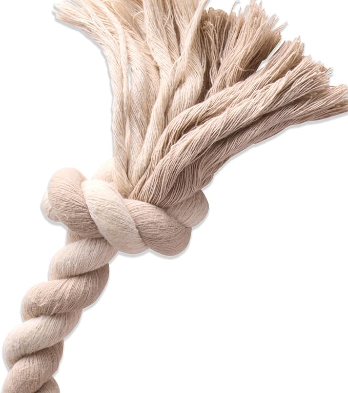 Pet Passion Natural Rubber Tire and Organic Cotton Rope Pull and Chew Dog Toy for All Pet Breeds, Almond Milk, Small