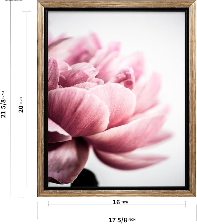 Monem Art Pink Peony Macro Photography Print - Minimalist Floral Art Poster - Wall Decor for Living Room, Bedroom or Office - 16x20 Silver Framed CANVAS Wall Art by Mareike Bohmer