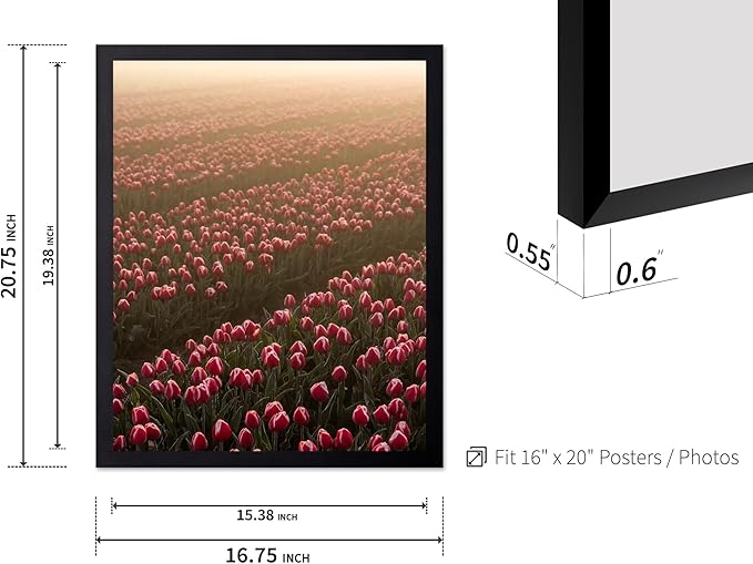 Monem Art Golden Tulip Field Sunset Photography Print - Romantic Spring Landscape Art Poster - Wall Decor for Living Room, Bedroom or Office - 16x20 Black Framed Wall Art by Mareike Bohmer