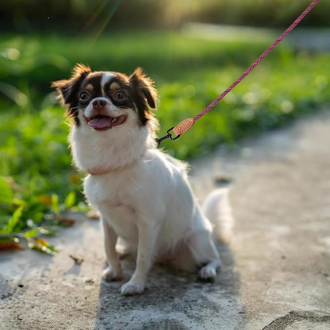 Mile High Life Small Dog Leash, Thin Rope Leash with Genuine Leather Connection and Heavy Duty Metal Clasp, Great for Small Medium Dogs(Pink,60 Inch-1/3)