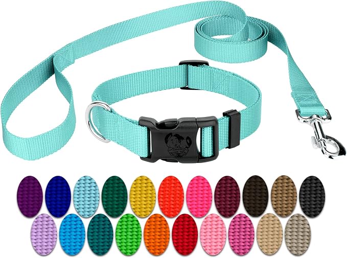 Country Brook Petz - Everyday Nylon Dog Collar and Leash - 10+ Cool Colors (3/4 Inch, Medium, Light Cyan)