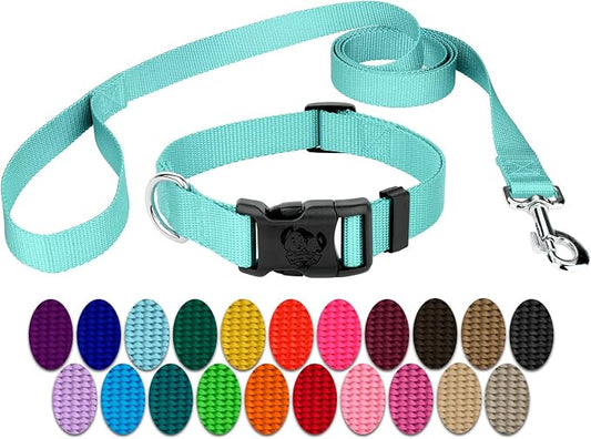 Country Brook Petz - Everyday Nylon Dog Collar and Leash - 10+ Cool Colors (3/4 Inch, Medium, Light Cyan)