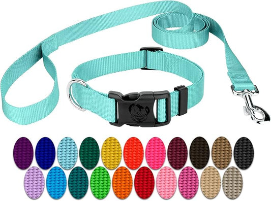 Country Brook Petz - Everyday Nylon Dog Collar and Leash - 10+ Cool Colors (3/4 Inch, Small, Light Cyan)