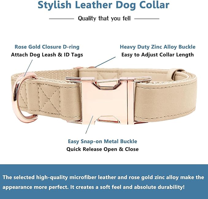 Soft Leather Dog Collar and Leash (6.6') Set - Stylish Rose Gold Heavy Duty Metal Buckle, 4 Adjustable Lengths Leash for Small Medium Large Dogs - Comfortable & Easy to Clean Beige XS(8"-12")