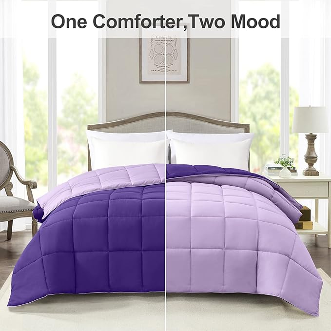 Homelike Moment Oversized Queen Comforter - Purple Duvet Insert Down Alternative Bed Comforter, Lightweight Bedding Comforters Oversize Queen Quilted Soft All Season Reversible Plum/Light Purple