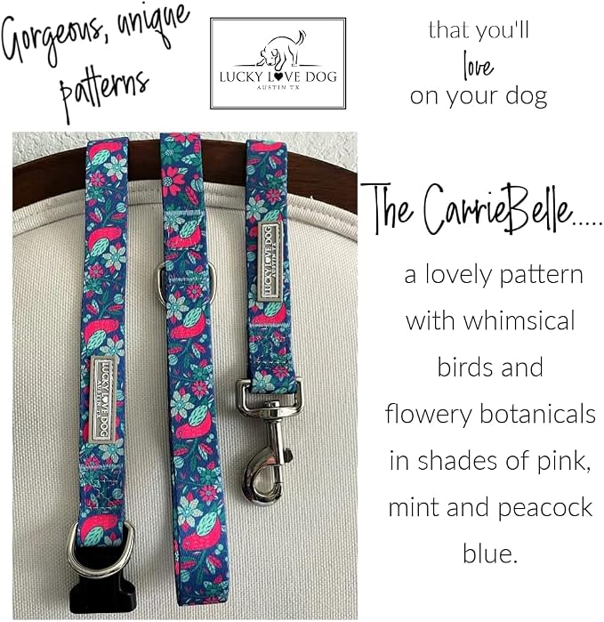 Lucky Love Dog - Easy Click Buckle Dog Collar with Leash Set Combo, Durable & Comfortable for Male & Female Dogs, Pet Collar for Small Dogs, Secure Fit - Carriebelle Martingale Combo, Small
