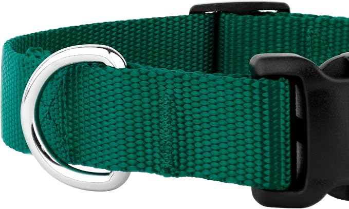 Country Brook Petz - Everyday Nylon Dog Collar and Leash - 10+ Cool Colors (3/8 Inch, 3XS, Green)