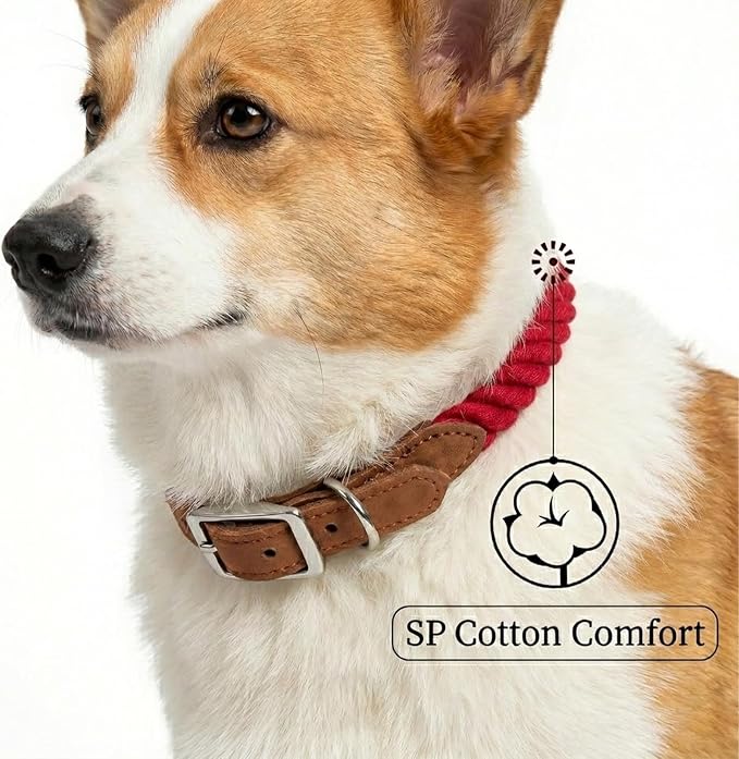 Mile High Life Genuine Leather Dog Collar, Durable Braided Cotton Rope Collar with Metal Pin Buckle for Small Medium Large Dogs (Red, L Neck 17"-21")