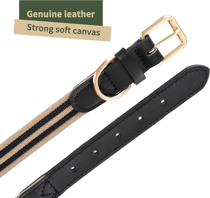 Mile High Life Genuine Leather Dog Collar, Heavy Duty Canvas Collar with Adjustable Metal Pin Buckle for Small Medium Large Dogs (Black, L Neck 17"-21")