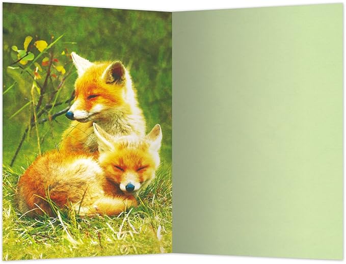 Tree-Free Greetings EcoNotes 12 Count Foxes Relaxing All Occasion Notecard Set with Envelopes, 4 x 6 Inches (FS56123)