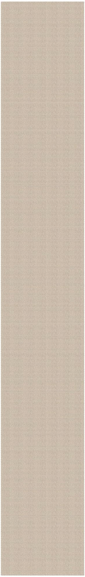 EARTHALL Runner Rug 3x20 Ft Washable Runners for Hallways Extra Long Woven Non Slip Entryway Runner Braided Kitchen Runner Indoor Outdoor Carpet Runners for Hotels, Officel, Stair, Beige/Ivory