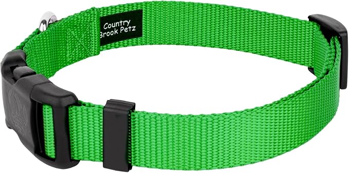 Country Brook Petz - Everyday Nylon Dog Collar and Leash - 10+ Cool Colors (1 Inch, Large, Hot Lime Green)