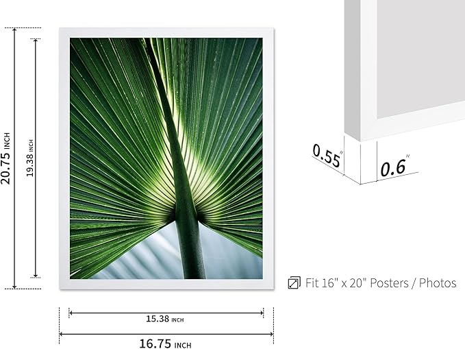 Monem Art Tropical Palm Leaf Macro Photography Print - Minimalist Botanical Nature Art Poster - Wall Decor for Living Room, Bedroom or Office - 16x20 White Framed Wall Art by Mareike Bohmer
