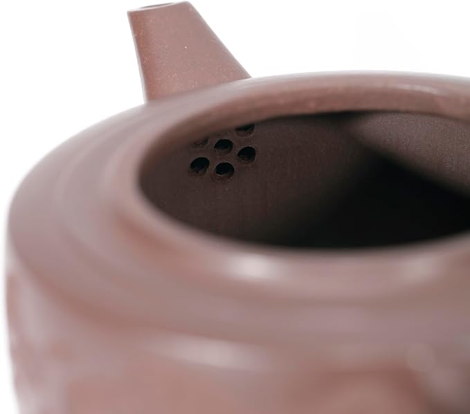 Zisha Teapot, Chinese Yixing Clay Handmade Tea Pot 10 Oz, Infuse Brew Kung Fu Loose Leaf Tea Maker (Panlong,Zini Purple Clay)