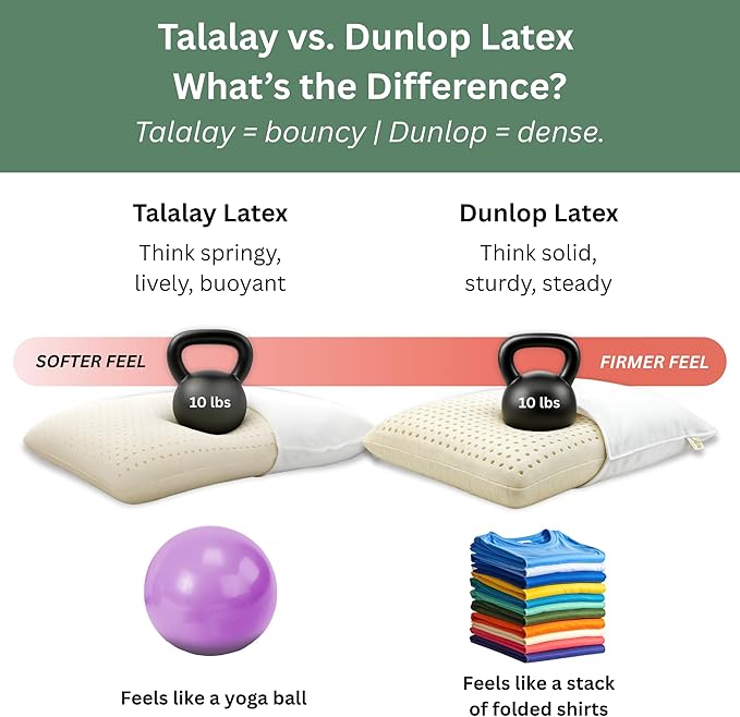 ORGANIC TEXTILES Talalay Latex Pillow with Organic Cotton Cover (Standard, Plush)