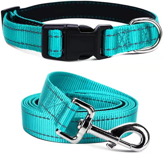 Soft Neoprene Padded Dog Collar and Leash Set for Small Medium Large Dogs, Reflective Durable Nylon Dog Collar with 5ft Leash Easy for Walking, Teal,Neck fit 10.5-15.5’’