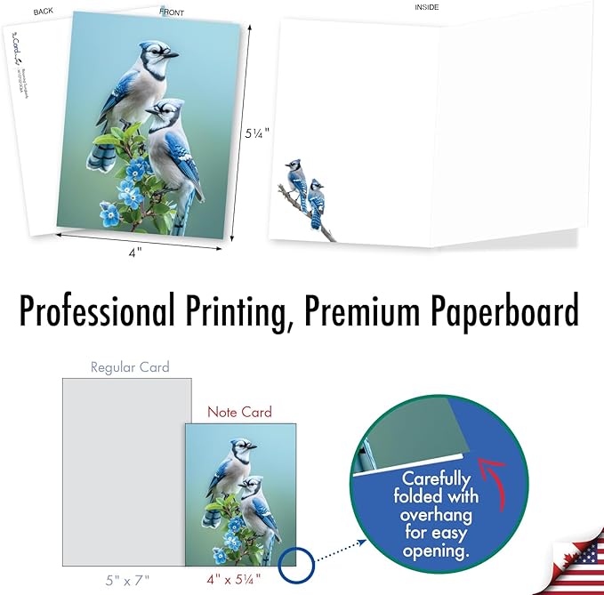 The Best Card Company 20 Assorted Blank Notecards Box Set 4 x 5.12 Inch with Envelopes (10 Designs, 2 Each) Blooming Songbirds AM10702OCB-B2x10
