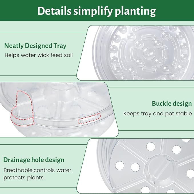 Bluepro 12 Pack 6.5 Inch Clear Self Watering Plant Pots with Bottom Water Tray & Watering Rope, Transparent Nursery Pots with Drainage for Seedlings, Herbs, and Houseplants