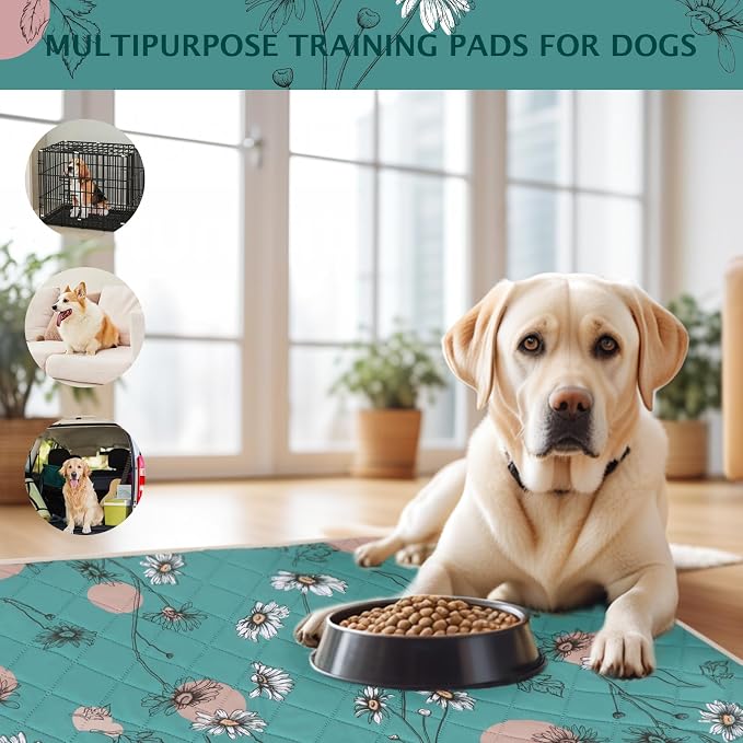 IEUUMLER Washable Pee Pads for Dogs, 1 Pack Non-Slip & Waterproof Pack Whelping Pad, Reusable Washable Puppy Potty Training Pad with Fast Absorbent for Playpen EU007 (Teal Daisy, 48"X48"-1pcs)