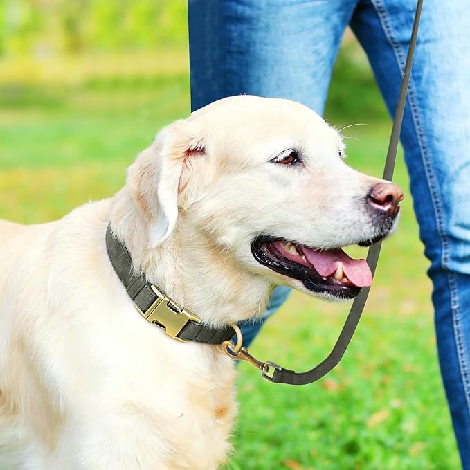 Genuine Leather Dog Collar - Adjustable Pet Collar with Quick Release Metal Buckle, Soft Skin Friendly Real Leather Collar for Small, Medium, Large Dogs (Dark Green Collar + Rope, L：Fit 15-23" Neck)