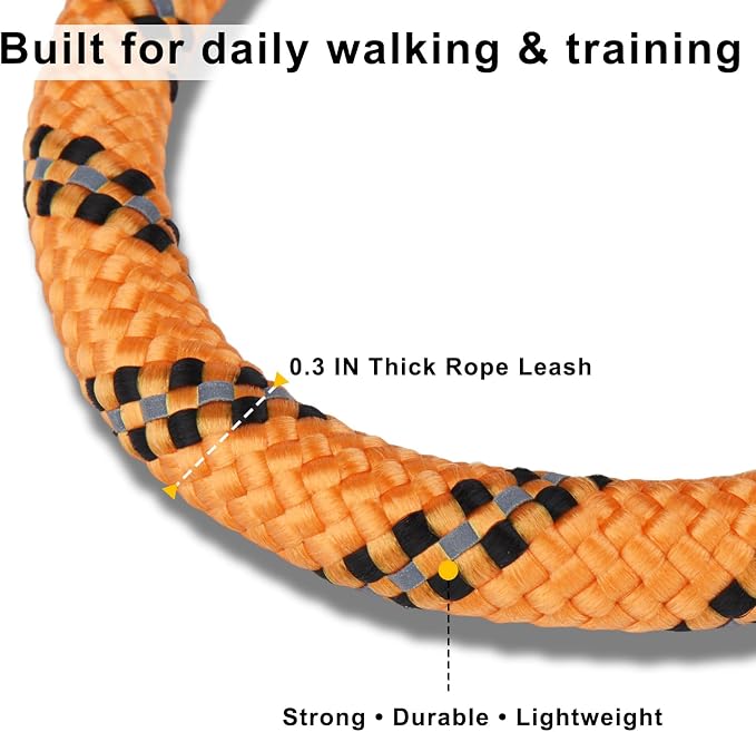 Dog Leash and Collar Set – 6 FT Strong Rope Leash with Padded Handle & Adjustable Nylon Collar Reflective for Small Medium Large Dogs (Orange, L)