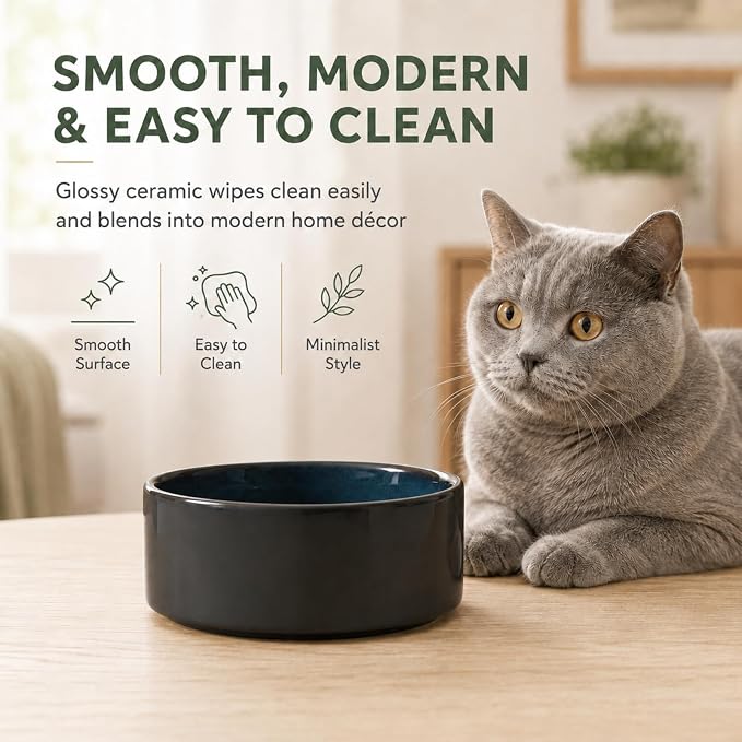 Havniva Cat Bowls Water Bowl Set of Two, 5.1” Ceramic Cat Food and Water Bowl Whisker Friendly Pet Food Bowls for Indoor Cats, Wide Cat Water Dish Prevent Whisker Fatigue Non Slip Cat Feeder