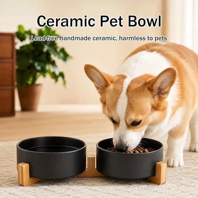 MateeyLife Ceramic Dog and Cat Bowls with Stand, 2-Pack Food and Water Bowl Set - Non-Slip Pet Bowls for Small & Medium Size Dogs，28.7OZ(Black)