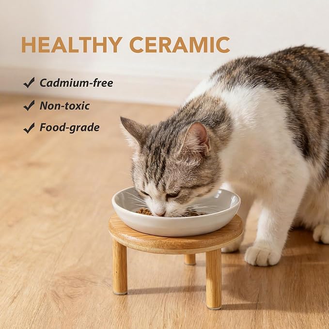 Havniva Elevated Cat Bowls Raised Ceramic Cat Bowl, 5.7” Wide Opening Cat Food Bowl Whisker Friendly Cat Dish Anti-Slip with Bamboo Stand, Shallow Pet Food & Water Bowl for Indoor Cats
