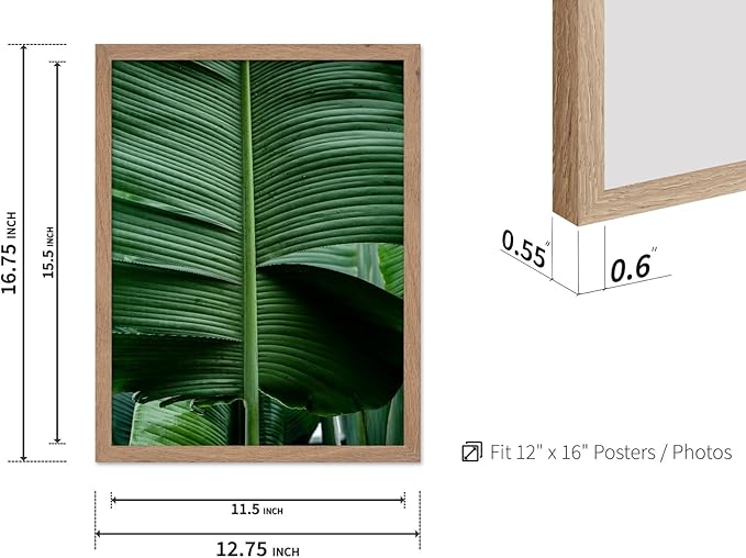 Monem Art Tropical Banana Leaf Photography Print - Minimalist Botanical Nature Poster - Wall Decor for Living Room, Bedroom or Office - 12x16 Beige Framed Wall Art by Mareike Bohmer