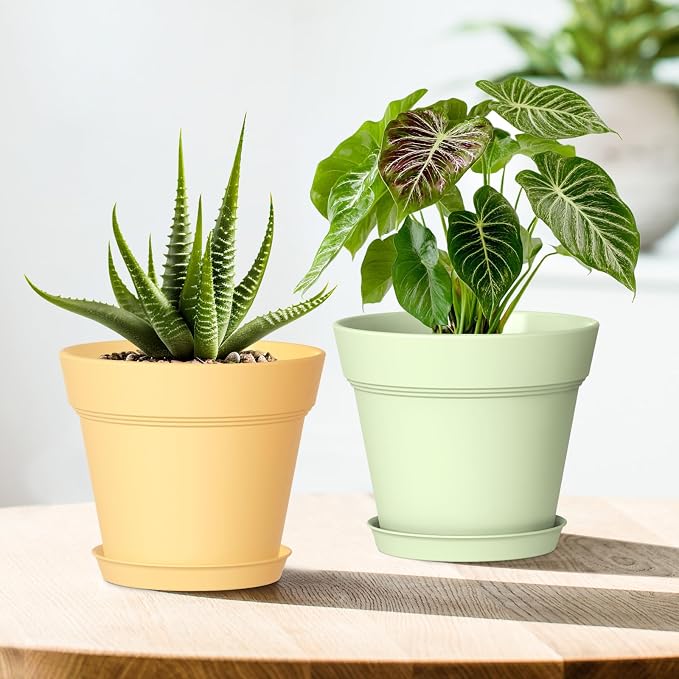 WSMKSZ 4 Inch Plastic Plant Pots with Drainage Holes and Trays – 8 Pack Small Nursery Pots for Indoor & Outdoor House Plants and Flowers, Seedling Starter Planters, Colorful