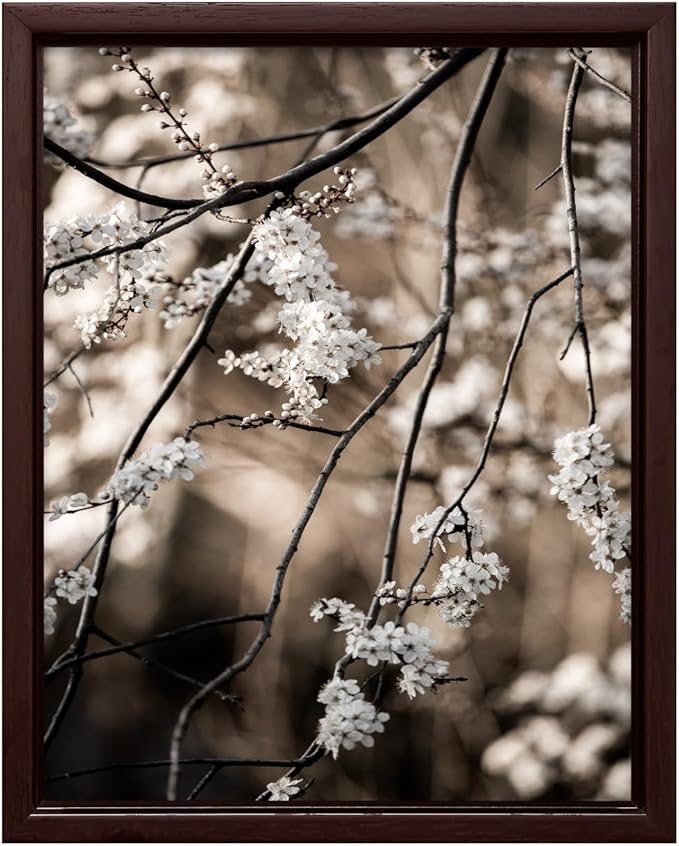 Monem Art Cherry Blossom Branch Photography Print - Moody Botanical Nature Art Poster - Wall Decor for Living Room, Bedroom or Office - 16x20 Brown Framed CANVAS Wall Art by Mareike Bohmer