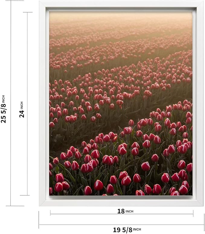 Monem Art Golden Tulip Field Sunset Photography Print - Romantic Spring Landscape Art Poster - Wall Decor for Living Room, Bedroom or Office - 18x24 White Framed CANVAS Wall Art by Mareike Bohmer