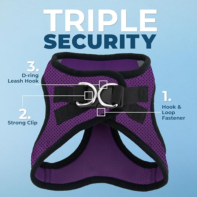 Best Pet Supplies Voyager Step-in Air All Weather Mesh Harness and Reflective Dog 5ft Leash Combo with Neoprene Handle, for Small, Medium and Large Breed Puppies - Purple/Black Trim, Medium
