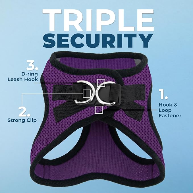 Best Pet Supplies Voyager Step-in Air All Weather Mesh Harness and Reflective Dog 5ft Leash Combo with Neoprene Handle, for Small, Medium and Large Breed Puppies - Purple/Black Trim, X-Small