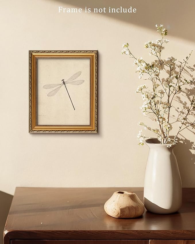 Vodefoad Vintage Dragonfly Sketch Art Print, Neutral Insect Animal Wall Decor, Antique Dragonfly Drawing Canvas Oil Painting, Minimalist Animal Wall Decorations, Retro Artwork Pictures for Gallery Bedroom Living Room Decor - 8x10Inch Unframe