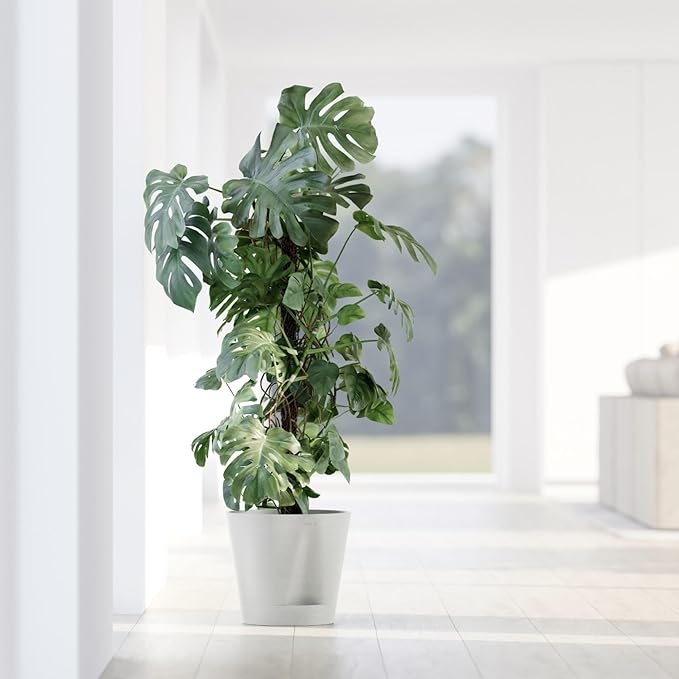 Ecopots Venice 2 Durable Modern Round Indoor/Outdoor Recycled-Based Composite Flower Pot Planter w/Water Reservoir, Pure White, 12"