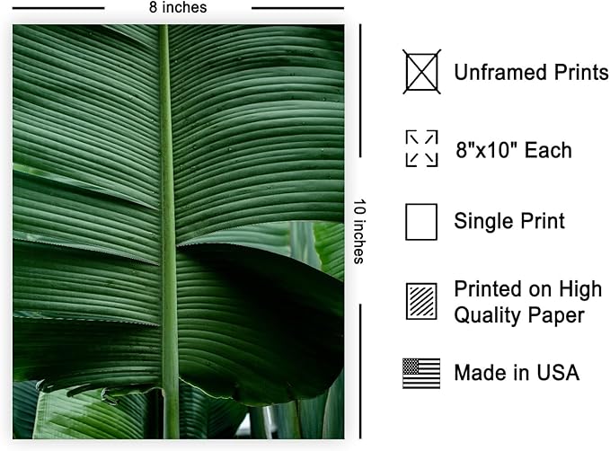 Monem Art Tropical Banana Leaf Photography Print - Minimalist Botanical Nature Poster - Wall Decor for Living Room, Bedroom or Office - 8x10 Unframed Wall Art by Mareike Bohmer