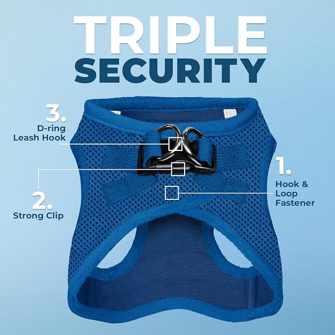 Best Pet Supplies Voyager Step-in Air All Weather Mesh Harness and Reflective Dog 5ft Leash Combo with Neoprene Handle, for Small, Medium and Large Breed Puppies - Royal Blue, Small