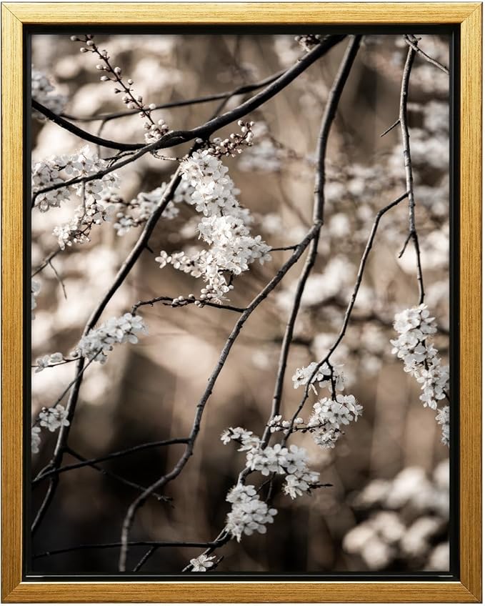 Monem Art Cherry Blossom Branch Photography Print - Moody Botanical Nature Art Poster - Wall Decor for Living Room, Bedroom or Office - 16x20 Gold Framed CANVAS Wall Art by Mareike Bohmer