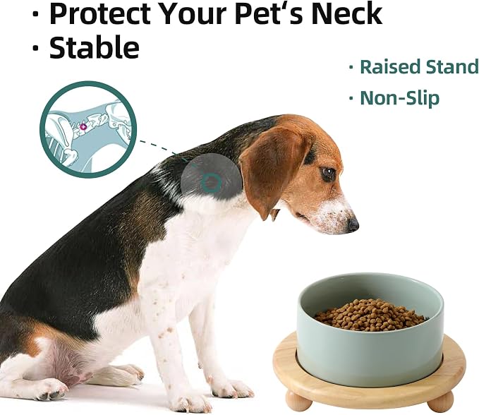 Havniva Raised Cat Bowls Water Bowl 6.1” Elevated Ceramic Cat Food and Water Bowl Whisker Friendly Pet Food Bowls for Indoor Cats, Wide Cat Water Dish Prevent Whisker Fatigue Non Slip Cat Feeder