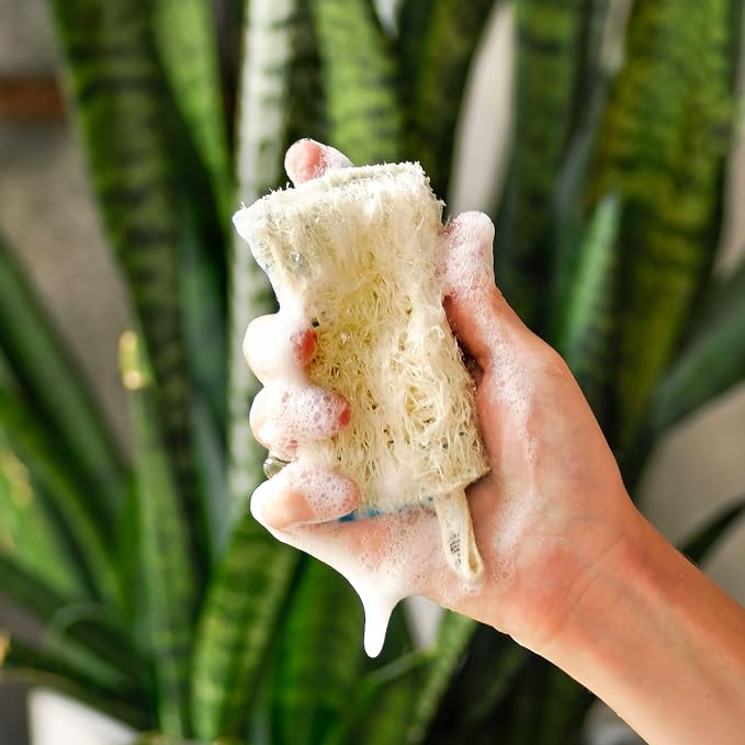 SUPERBEE Natural Kitchen Sponges 10 Pack - Plant-Based Biodegradable Loofah Dish Sponge - Eco-Friendly, Zero-Odor, Cleaning Dirty Dishes, pots, and Pans, Cleaning - Plastic-Free Sponge