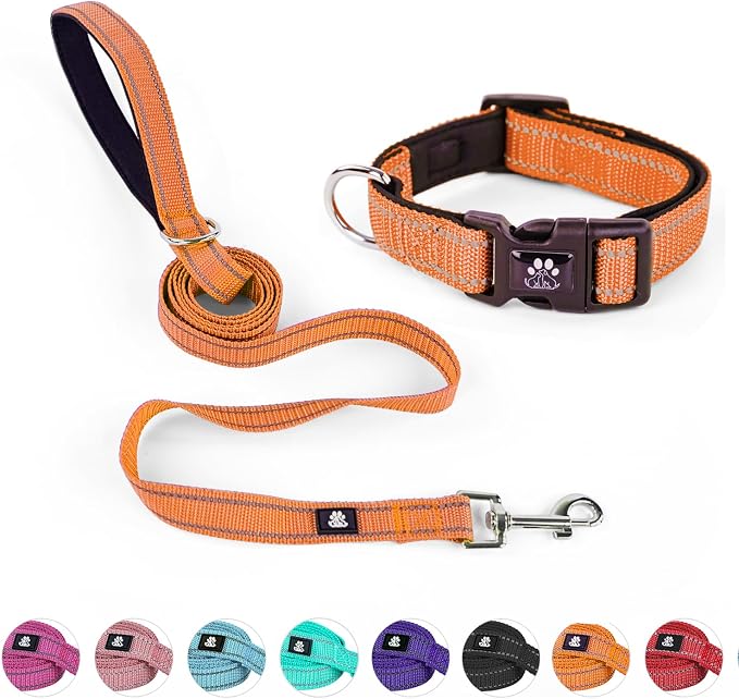 NESTROAD Dog Collar and Leash Set,Reflective Dog Collars with Quick Release Buckle,Adjustable Nylon Pet Collar for Small Medium Large Dogs(Small,Orange)