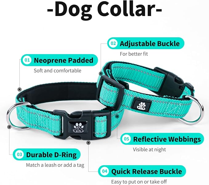 IVY&LANE 2 Pack Reflective Dog Collars and Leashs Set,Adjustable Neoprene Padded Dog Collar for Puppy, Breathable Nylon Pet Collar for Small Medium Large Dogs(Large,Pink+Teal)