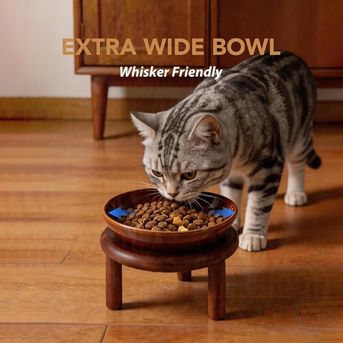 Havniva Elevated Cat Bowls Raised Ceramic Cat Bowl, 5.7” Wide Opening Cat Food Bowl Whisker Friendly Cat Dish Anti-Slip with Wood Stand, Shallow Pet Food & Water Bowl for Indoor Cats