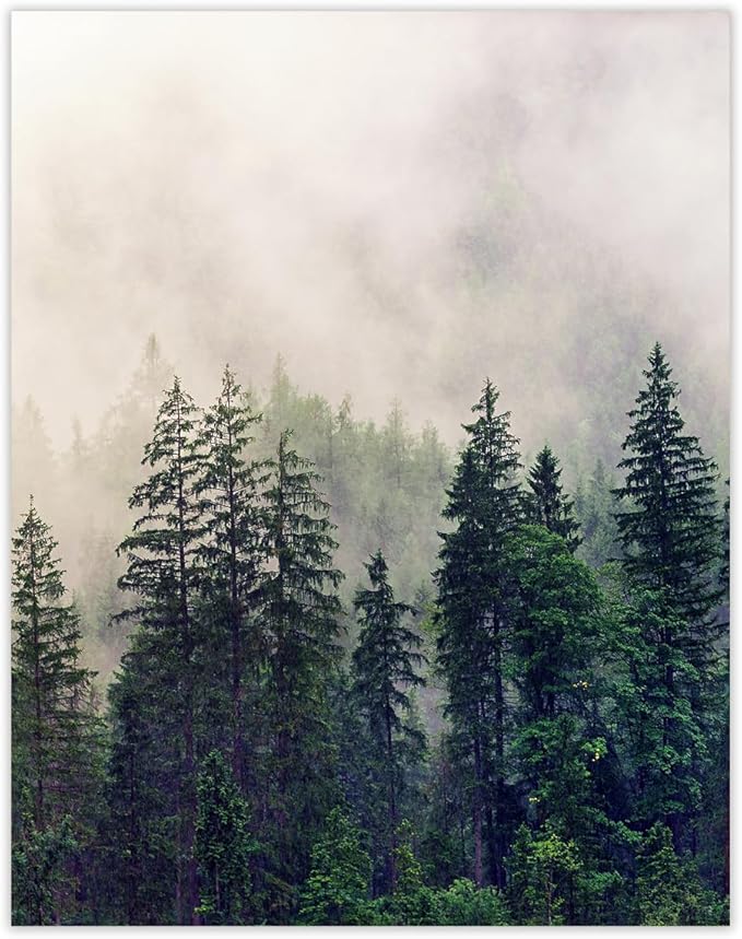 Buzz Unplugged Foggy Forest Abstract Wall Art: Minimalist, Aesthetic & Boho Wall Art for Home, Office, Bedroom & Living Room Decor - Unframed Posters 11x14