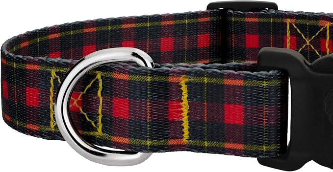 Country Brook Petz - Buffalo Plaid Everyday Dog Collar and Leash - Plaid and Argyle Collection Featuring Charming Designs (5/8 Inch, Small)
